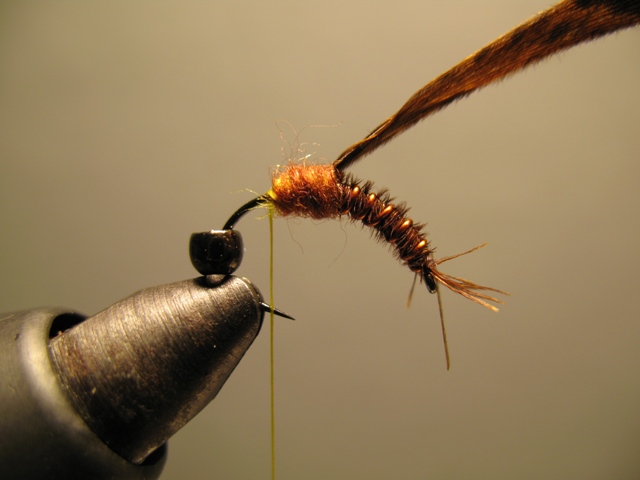 Reversed Diving Nymph 