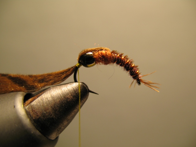 Reversed Diving Nymph 