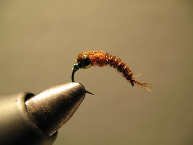 Reversed Diving Nymph 