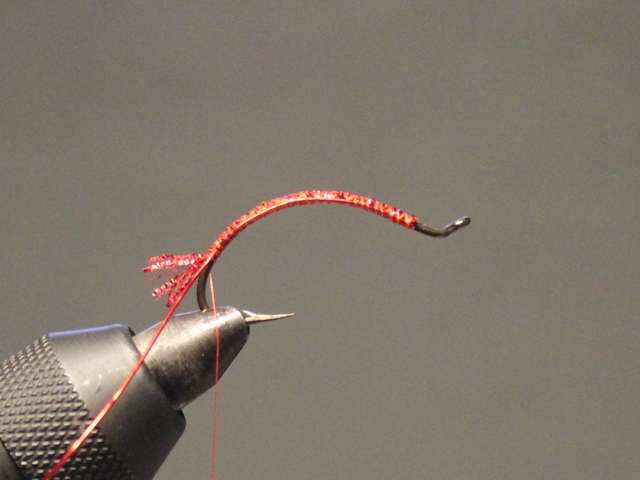 San Juan Worm