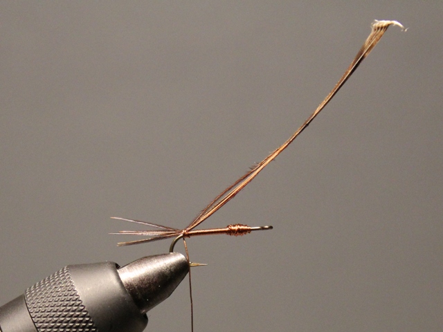 Sawyer Pheasant Tail