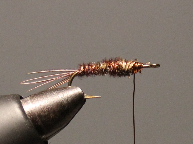 Sawyer Pheasant Tail