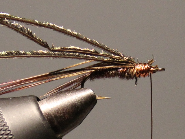 Sawyer Pheasant Tail
