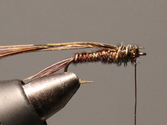 Sawyer Pheasant Tail