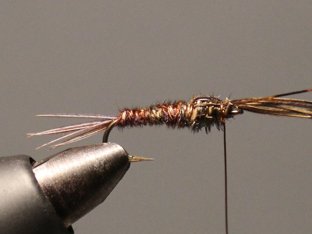 Sawyer Pheasant Tail