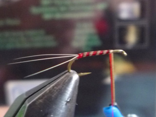 Sherry Spinner