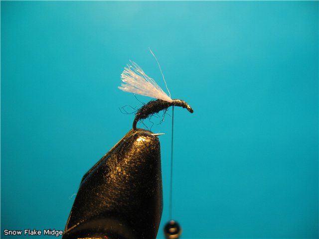 Snow-Flake-Midge