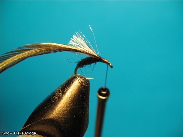 Snow-Flake-Midge