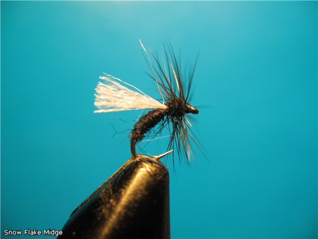 Snow-Flake-Midge