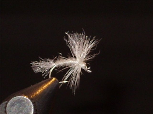 Snowflake Delta Wing Emerger