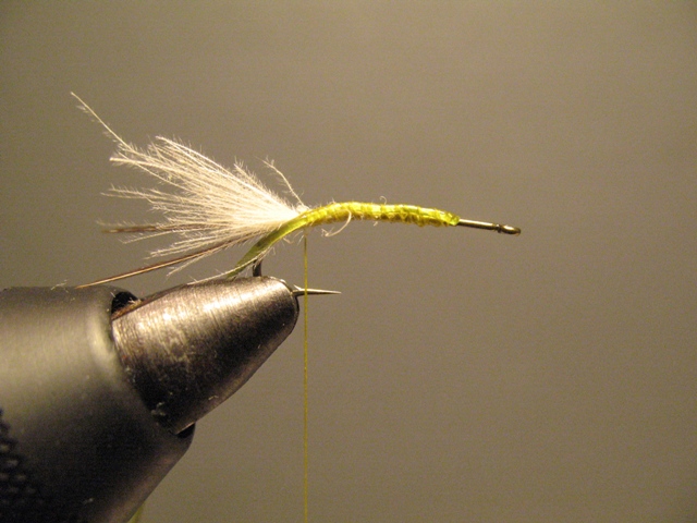 Snowflake Dun Variant