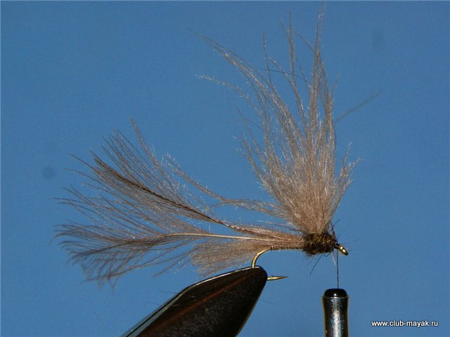 Сухая мушка Split Wing Dun V
