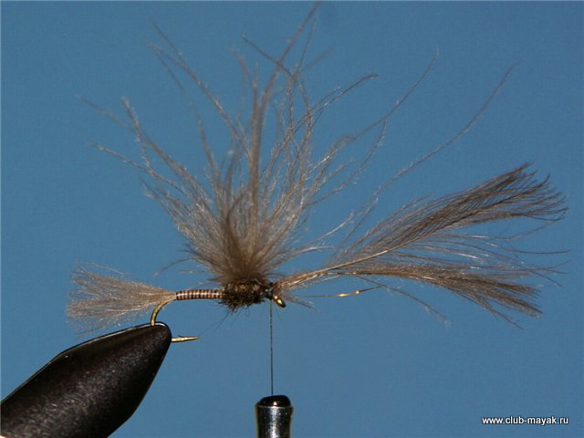Сухая мушка Split Wing Dun V