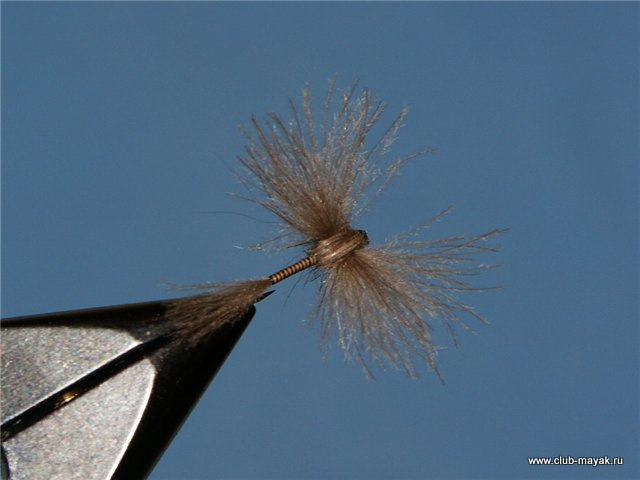 Сухая мушка Split Wing Dun V