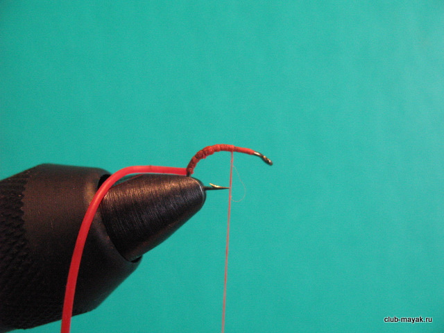 'эмерджер Suspended Chironomid