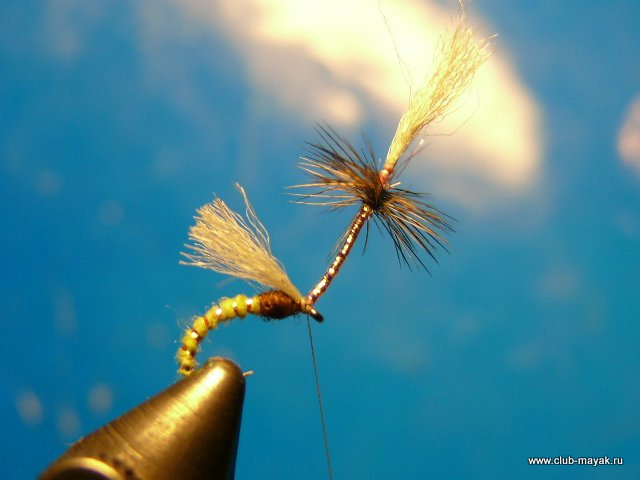 Эмерджер Umbrella Gnat Emrger V