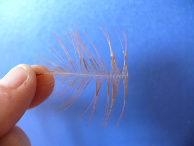 Сухая мушка Wonder Wing Midge Z (WWM-Z)