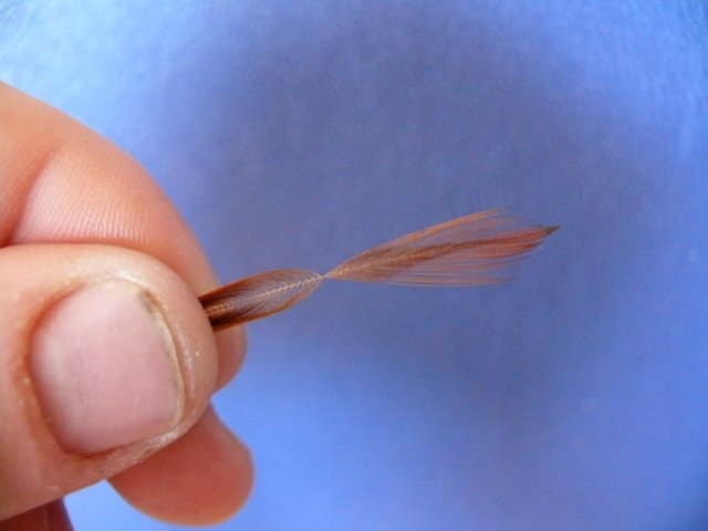 Сухая мушка Wonder Wing Midge Z (WWM-Z)