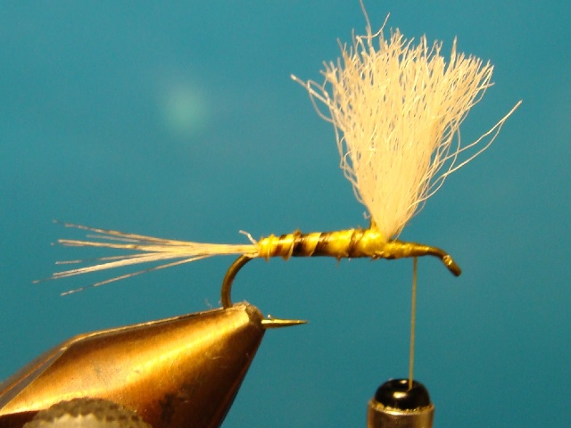 Yellow Parachute WME