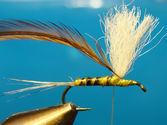 Yellow Parachute WME