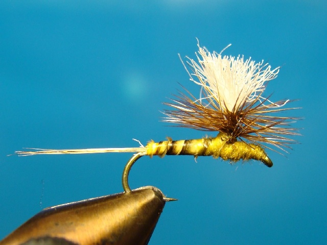 Yellow Parachute WME