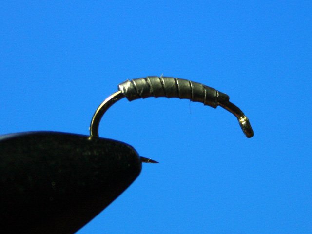 Сaddis Nymph Pupa