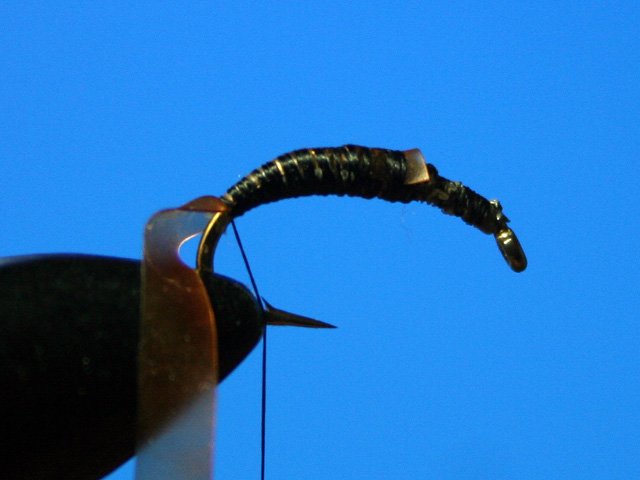Сaddis Nymph Pupa