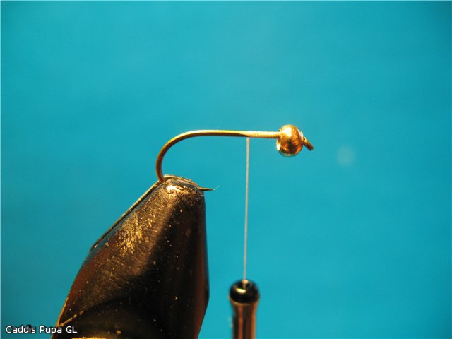 Caddis Pupa GL