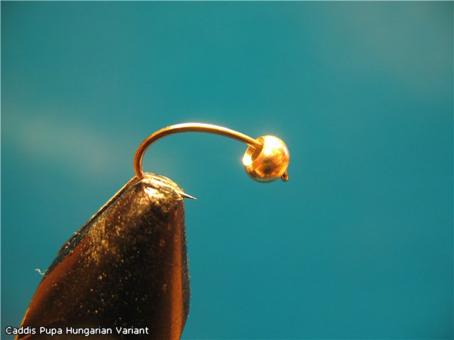 Caddis Pupa Hungarian Variant