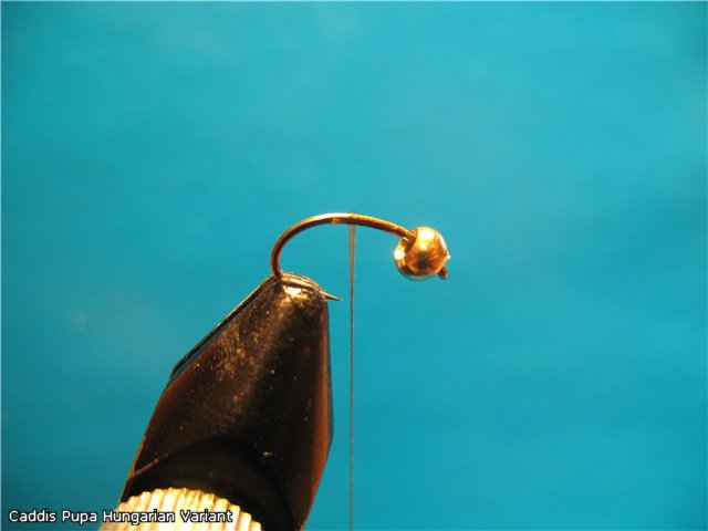 Caddis Pupa Hungarian Variant