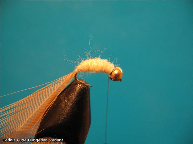 Caddis Pupa Hungarian Variant