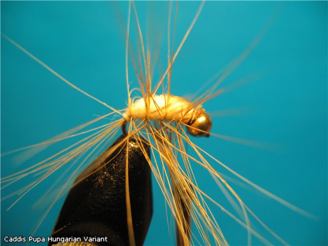 Caddis Pupa Hungarian Variant