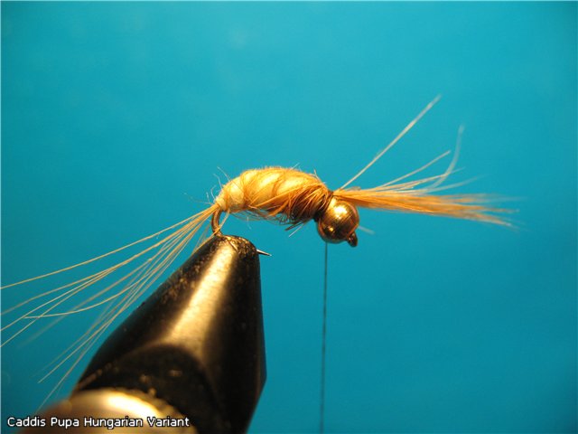Caddis Pupa Hungarian Variant