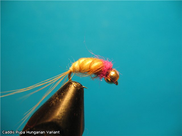 Caddis Pupa Hungarian Variant
