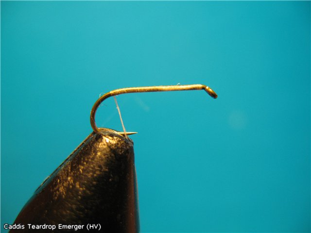 Caddis Teardrop Emerger (HV)