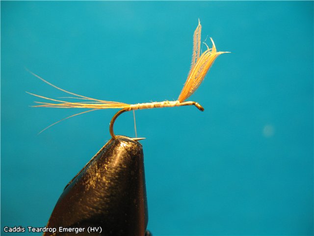 Caddis Teardrop Emerger (HV)