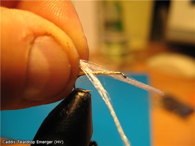 Caddis Teardrop Emerger (HV)