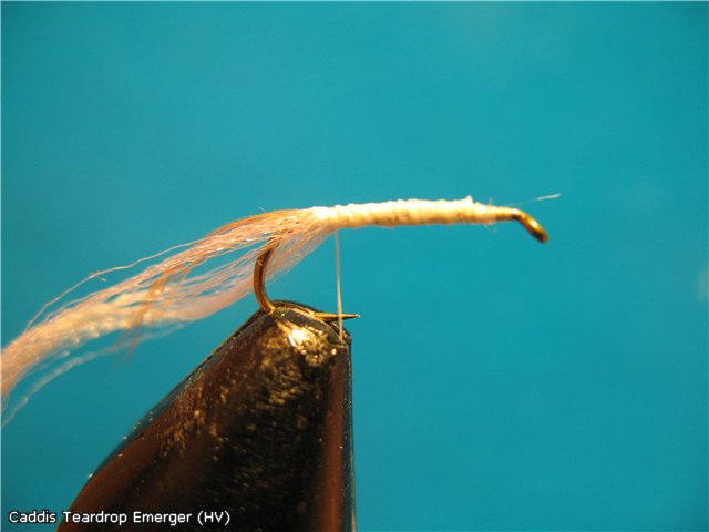 Caddis Teardrop Emerger (HV)