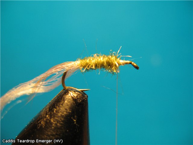 Caddis Teardrop Emerger (HV)