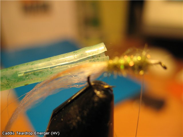 Caddis Teardrop Emerger (HV)