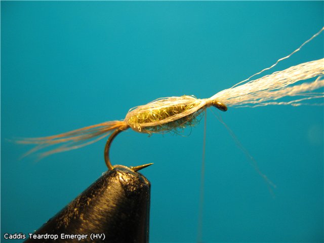 Caddis Teardrop Emerger (HV)