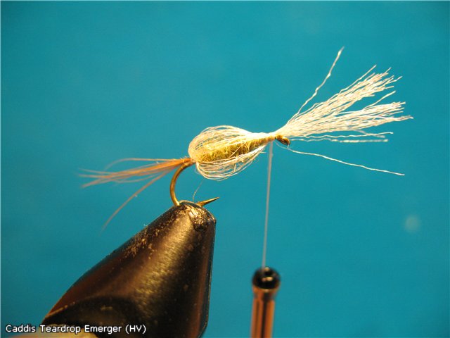 Caddis Teardrop Emerger (HV)