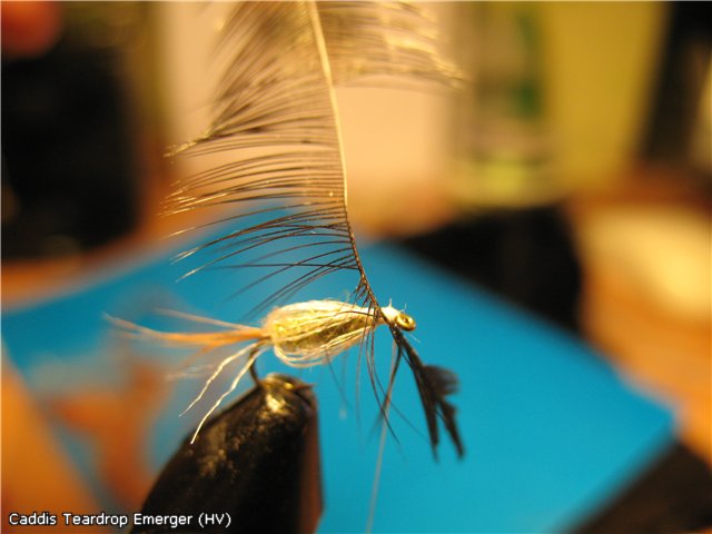 Caddis Teardrop Emerger (HV)