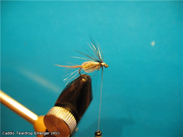Caddis Teardrop Emerger (HV)