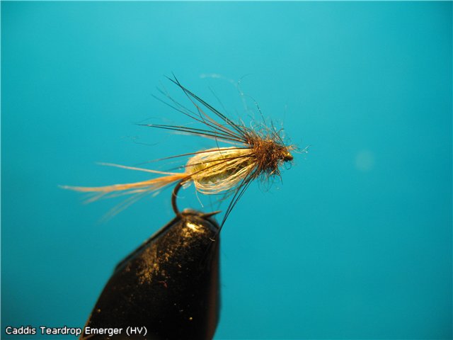 Caddis Teardrop Emerger (HV)