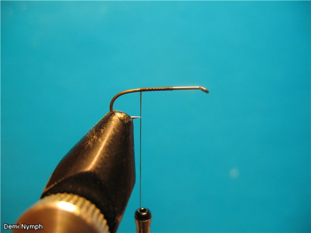 Demi Nymph