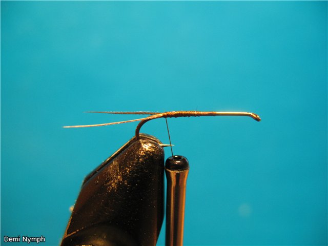 Demi Nymph