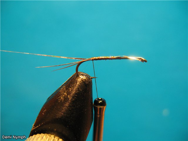 Demi Nymph
