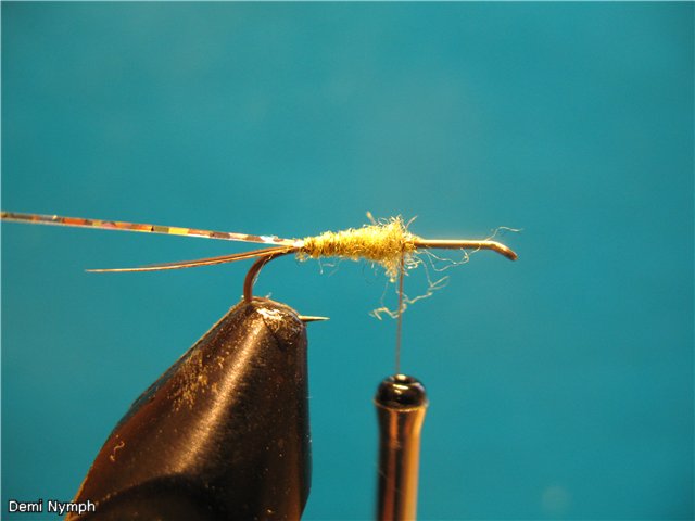 Demi Nymph