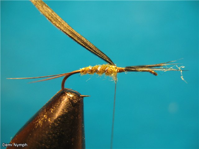 Demi Nymph
